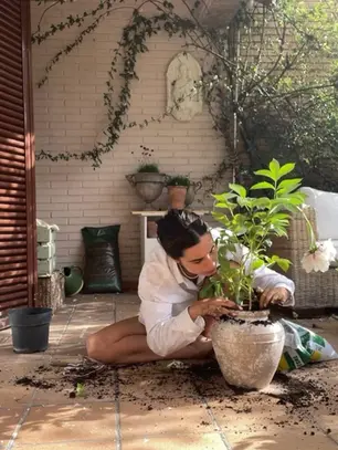 Why We Romanticise Slow Living