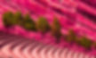 Party At Red Rocks_edited.jpg