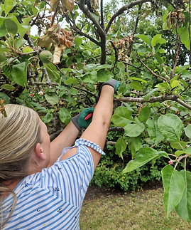 Untitled (Instagram Post (Square)).png