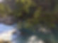 Hemlocks 3.jpg