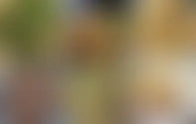 煎釀豆腐、西式三文治拼盤、甚至還有創意擺盤的炸魚,讓家常便飯也充滿儀式感。