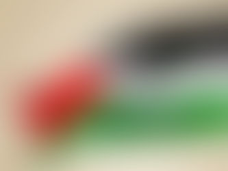 In Defense of Palestine (Video)