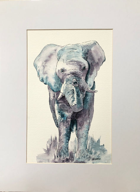 Elephant.jpeg