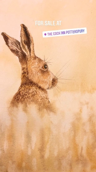 Hare 3.jpeg