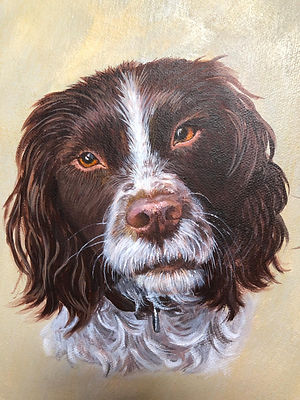 Spaniel.jpeg