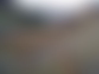 System of raising chickens