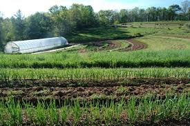 Factors to consider before starting an agricultural project.