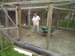 How you can effectively clean your chicken house.