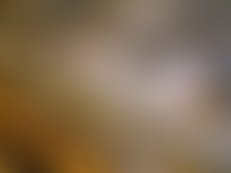 Types of feed for Layers