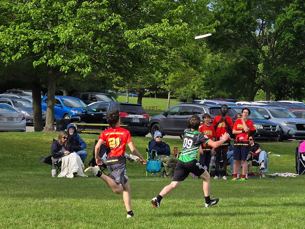 20250523_182626(0).jpg