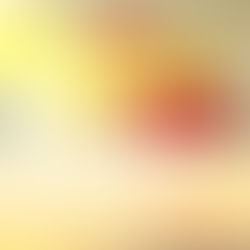 FOX5 Good Day DC Interview