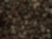 CMR Maroon