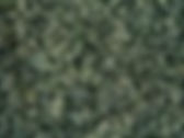 CBG Dark Green