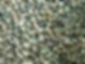 AB mixed green