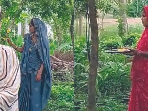 Planting Trees In Memory Of Loved Ones Greens Chhattisgarh Village