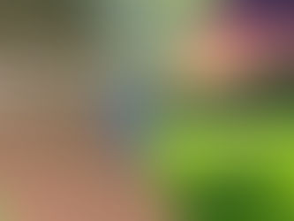 Hostel Life vs Day Scholar Life: Which Is Better for You?