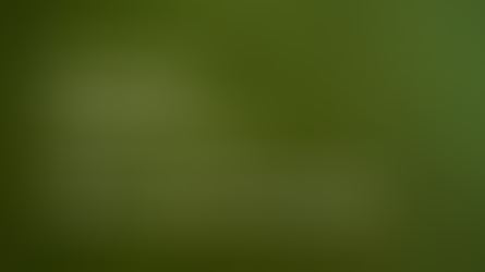 Top Colleges in India for Humanities & Social Sciences