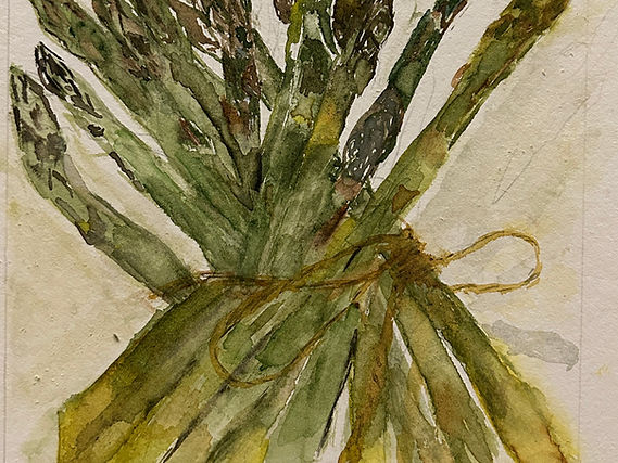 Nadine Abensur Une botte d'asperges(A  boot  of asparagus)  Watercolour on cold press, cot