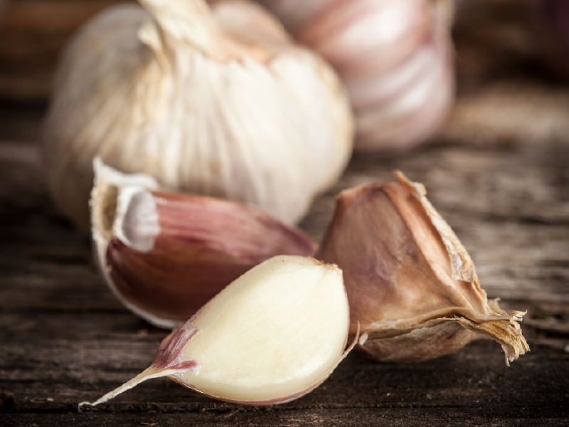 fresh garlic
