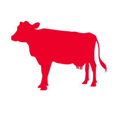 7 (2).png
