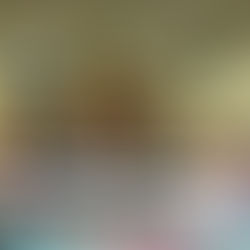 112.8.22邀請臺中市五權國中黃瓊儀老師親自指導彩繪藝術盆栽