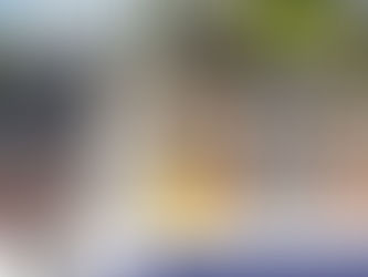 City of West Sacramento Survey