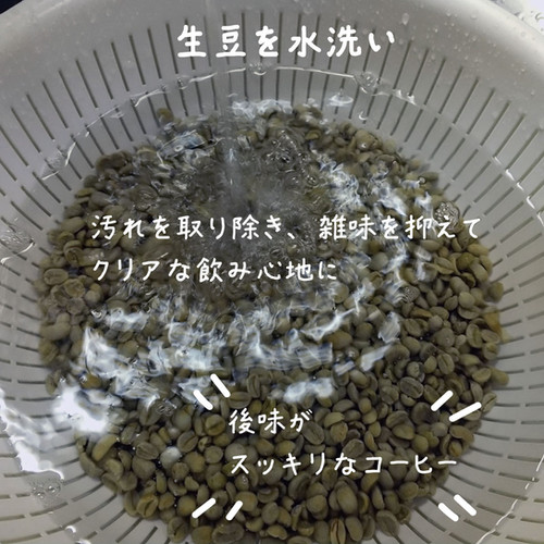 グアテマラ2.5キロ(250g✖️10袋) モカ500g(250g✖️2袋 グアテマラ2.5キロ(250g✖️10袋) モカ500g(250g✖️2袋