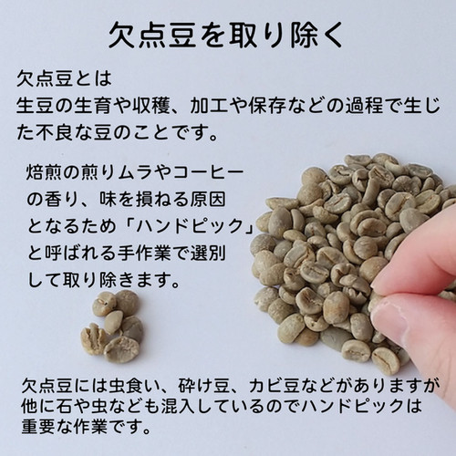 【コーヒー生豆】 5kg ブラジル ドルチェ チョコラーダ　⑨ ブラジルからダークチョコ感にこだわったドルチェ・チョコラーダ