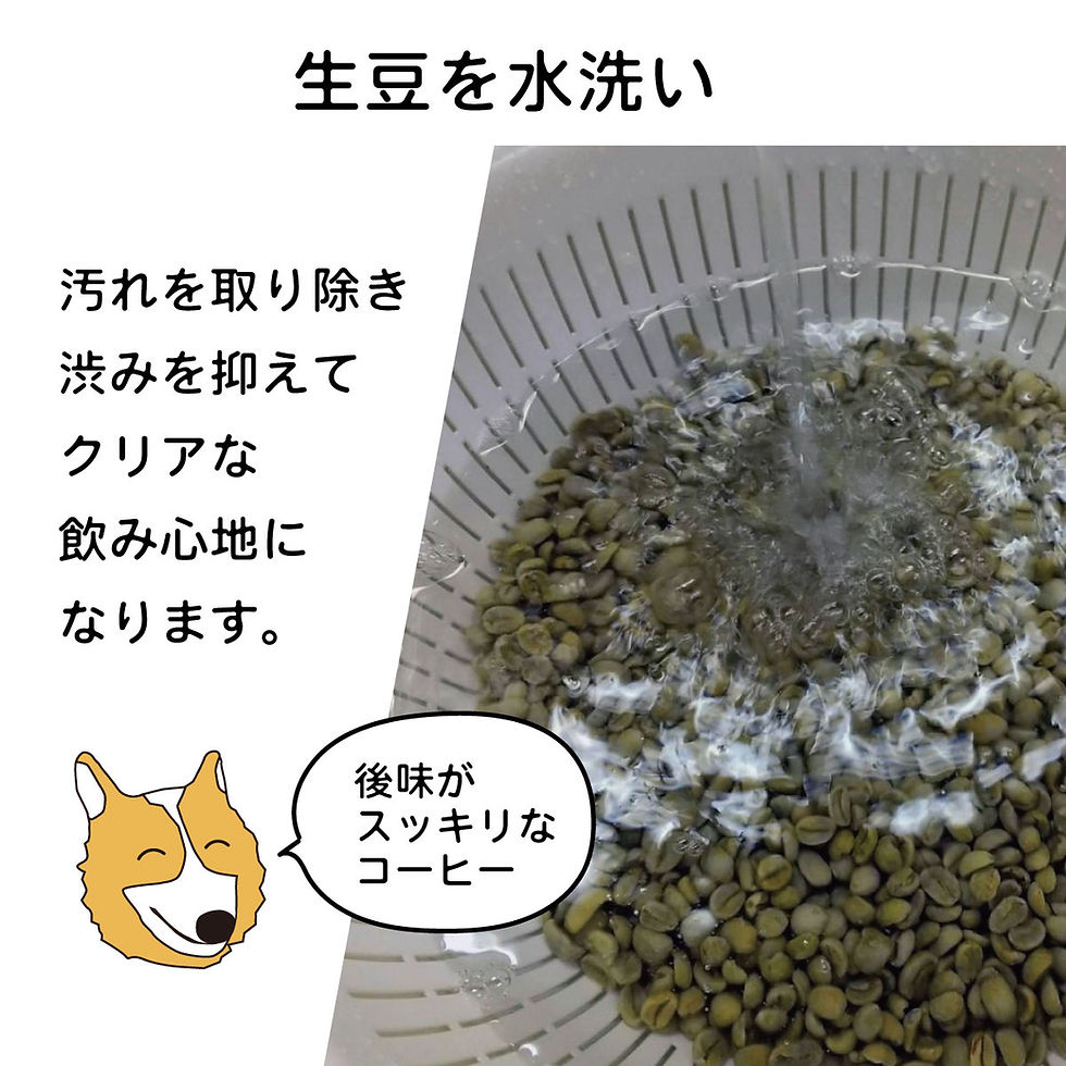 サムネイル： インドネシア／マンデリン G1_100g