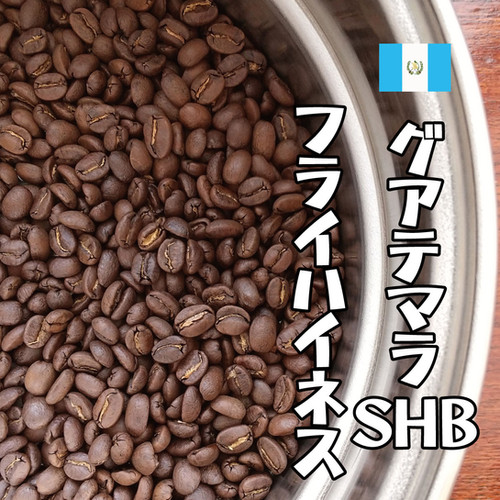 専用　グアテマラを1.5キロ（250g✕6袋）、モカを 500g（250g✕2） 専用 グアテマラを1.5キロ（250g✕6袋）、モカを 500g（250g✕2）