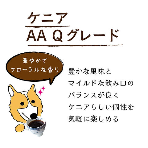 ケニア／AA Qグレード 100g | KOGIKOTA