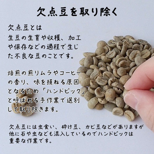 【コーヒー生豆】 5kg ブラジル ドルチェ チョコラーダ　⑨ コーヒー生豆】 5kg ブラジル ドルチェ チョコラーダ ⑨