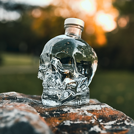 crystal head lifestyle photo original