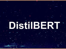 DistilBERT