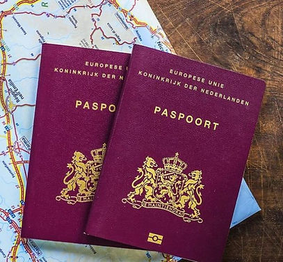 Buy-real-Dutch-Passports-600x554.jpg