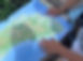 IMG_2657.JPEG