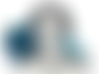 Heval  Emine: um símbolo da revolução feminina e da unidade dos povos