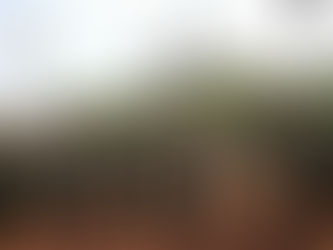 Guerra Revolucionária Popular – A experiência em Rojava e a atual revolução em curso em Myanmar.