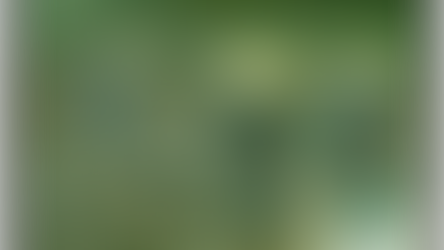 Socialism: a Look to the Past to build our Future