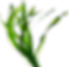 A5263A93-2E60-49E8-ADE7-1942B76DC7BE.png