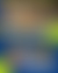 Beginner Tennis Lessons for Adults