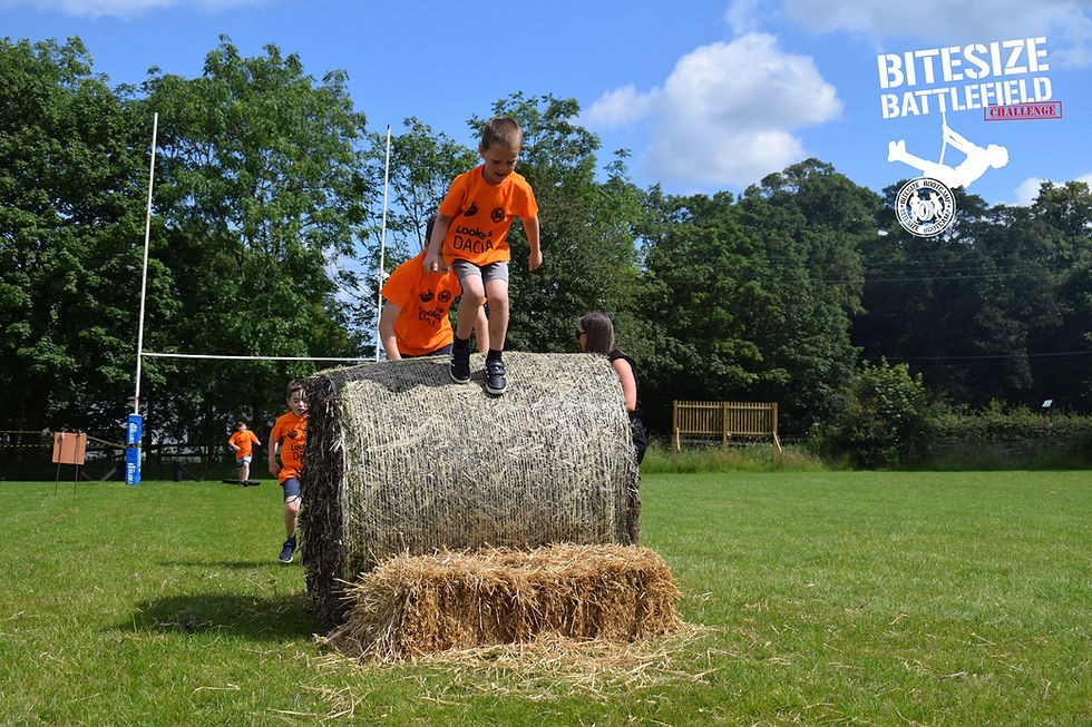 68585017_881494332224113_4216281631121473536_n