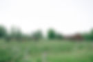 FoxMeadowWinery-Lock&Co-17.jpg