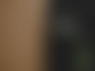 Dogecoin - Where Does Scams Everywhere Belong?