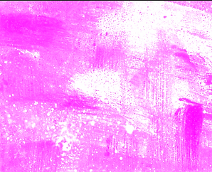 Screenshot 2026-05-05 at 13.42.27.png