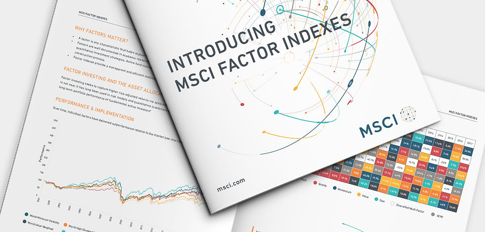 FactorIndexesBrochure.jpg