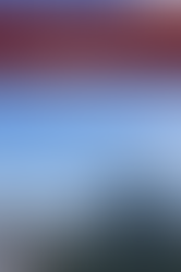 Fish, Kites, & Choir Practice