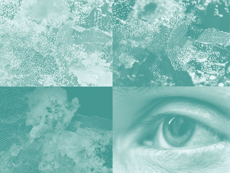 mistermika__a_demonstration_of_what_IA_images_can_do_--ar_43__b88a7b30-2a76-4668-abe9-08a9