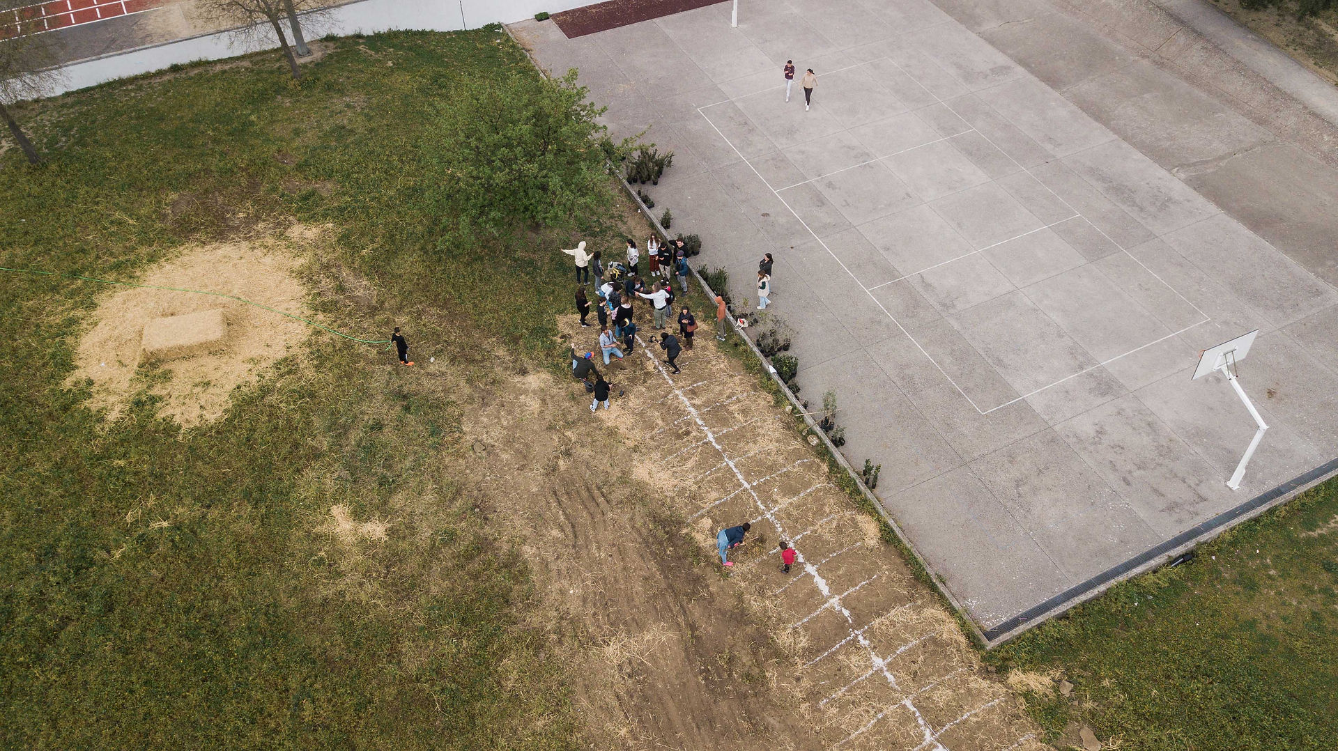 Drone view of students planting Miyawaki forest inside their school