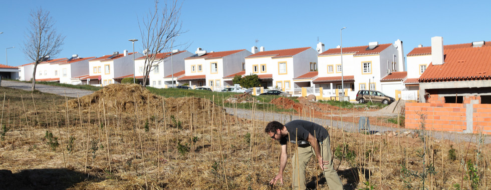 Mulching after planting Miyawaki forest